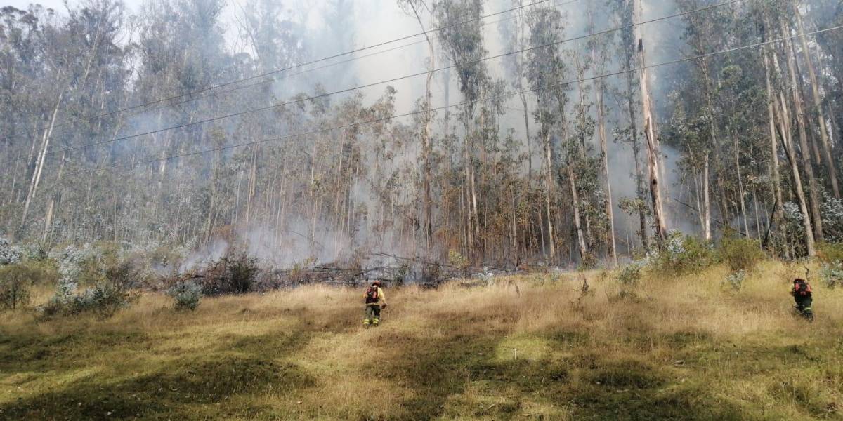 Incendios forestales Quito: bomberos controlan el fuego en Miraflores