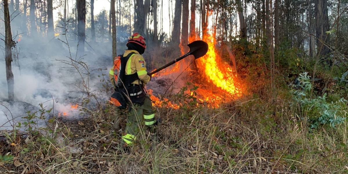 Quito: el incendio forestal en Chaupimolino, en Pifo, continúa este 30 de agosto