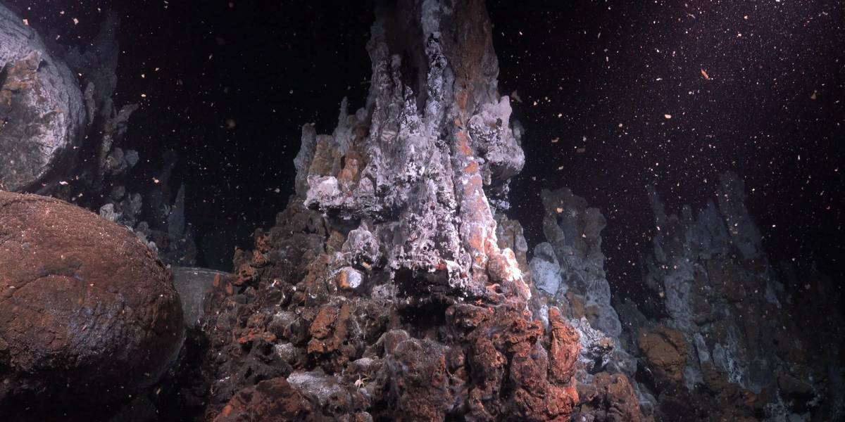 Científicos descubren una nueva fuente hidrotermal en el fondo de las Galápagos