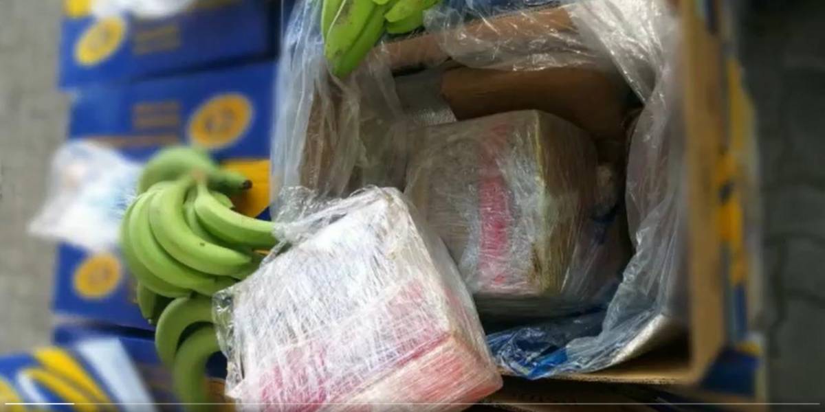 Narcos pretendían sacar 3,6 toneladas de droga de Guayaquil a Europa en cajas de banano