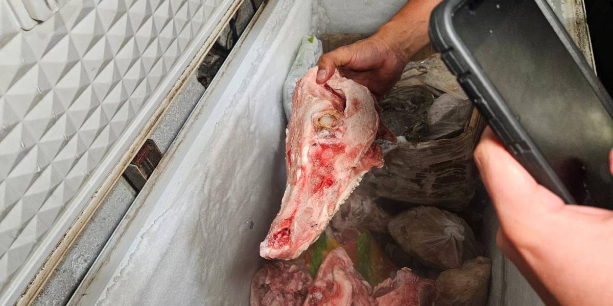 Tras encontrar cráneos de animales y anguilas, Arcsa clausuró un chifa en el centro de Guayaquil