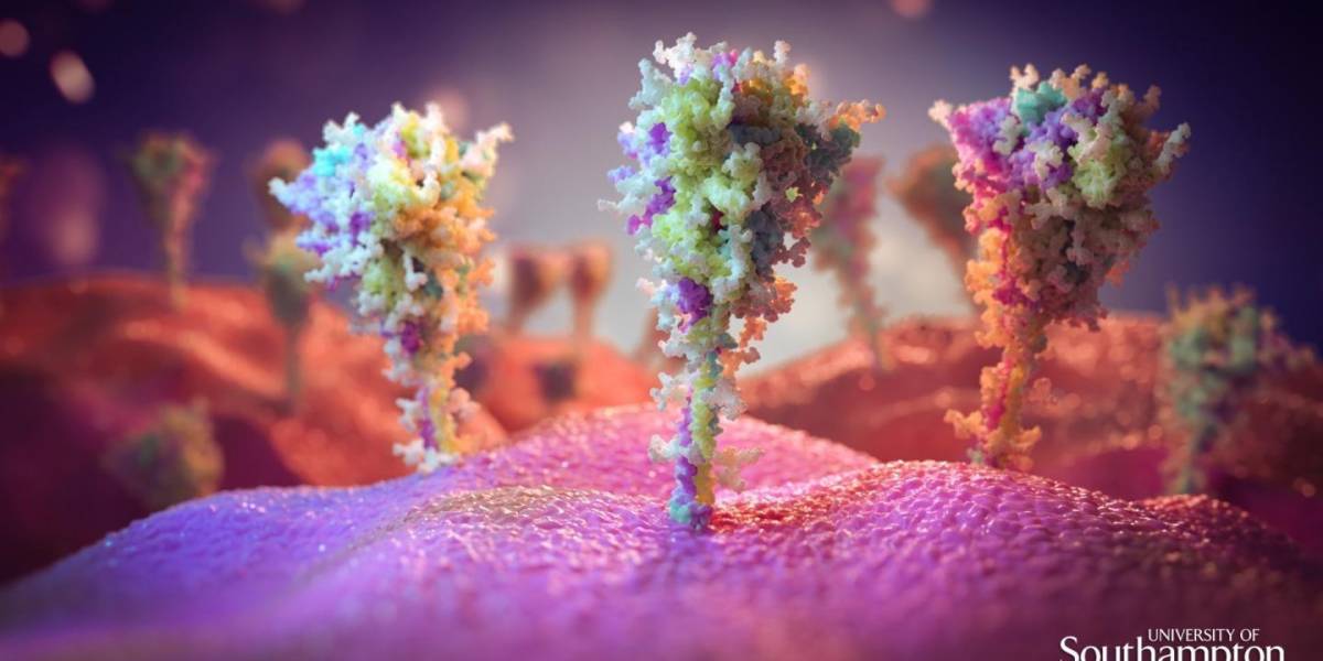 La proteína de pico del SARS-CoV-2 puede causar por sí sola daños pulmonares