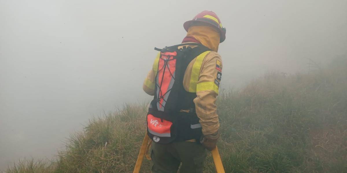 Quito | El incendio forestal en La Cima de la Libertad fue controlado