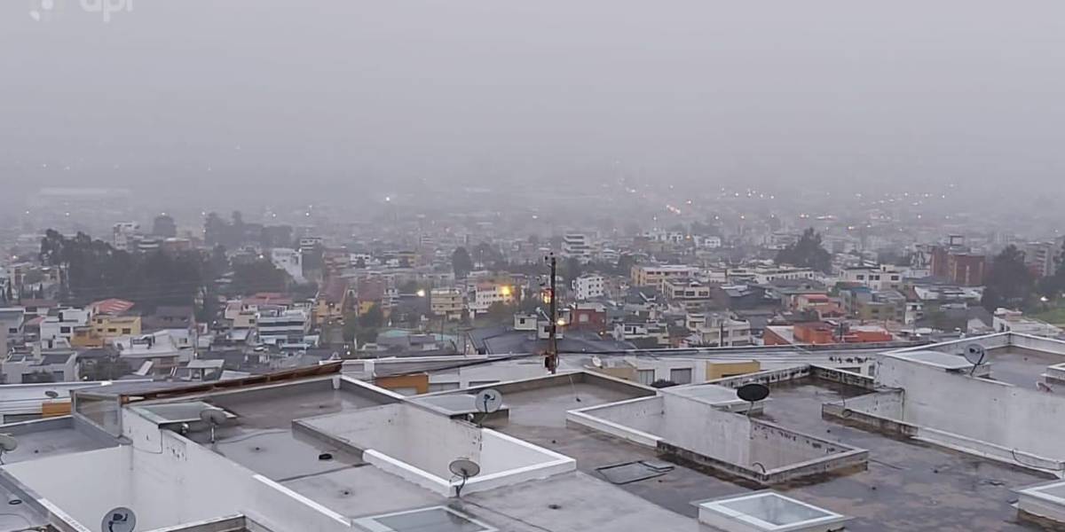 Lluvias provocan cortes de luz, caídas de árboles y acumulación de agua en Quito