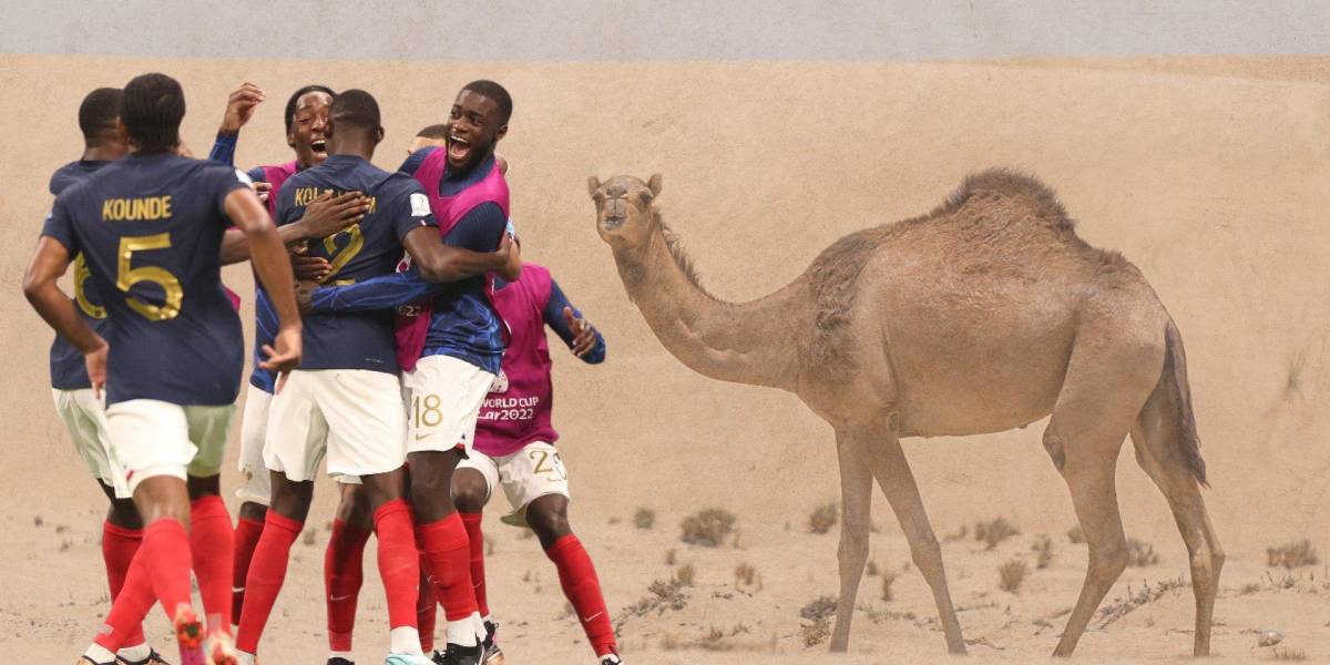 ¿Cuáles son los síntomas del 'virus del camello' que afectó a la selección de Francia?