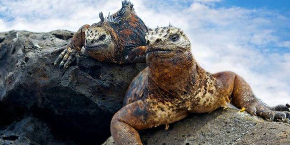 Ecuador ocupa el décimo primer lugar en la lista de países más bellos del mundo