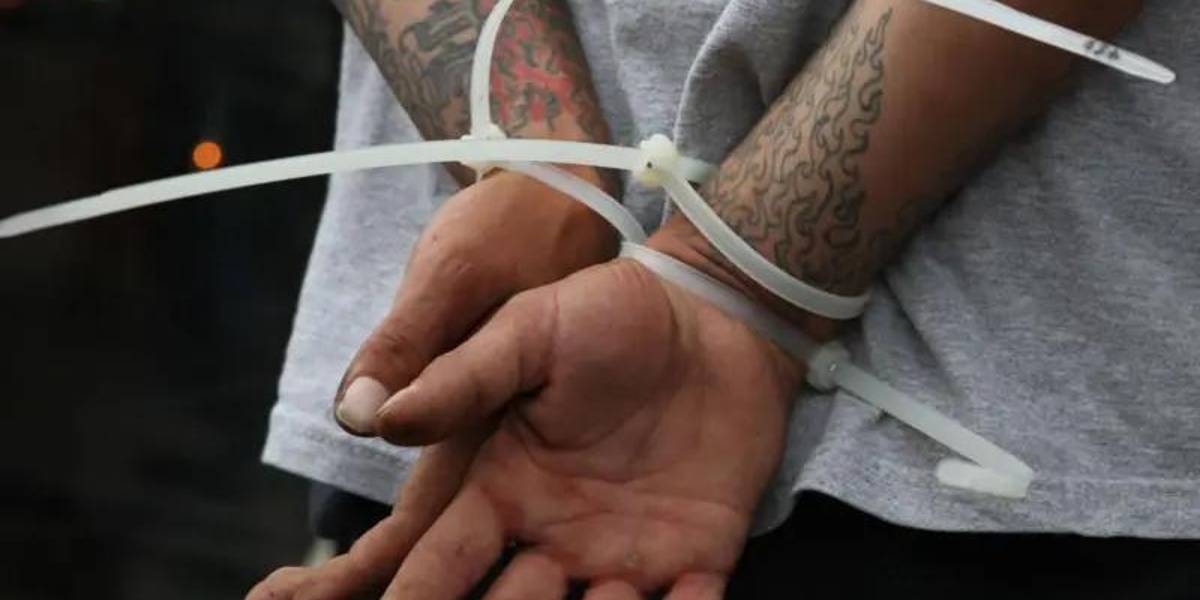 Las pandillas que venden en EE.UU. la droga producida en América Latina