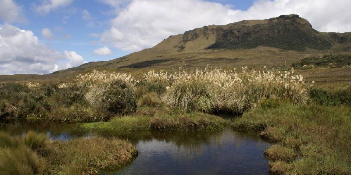 WWF Ecuador expresa preocupación por la inseguridad dentro de áreas protegidas del país