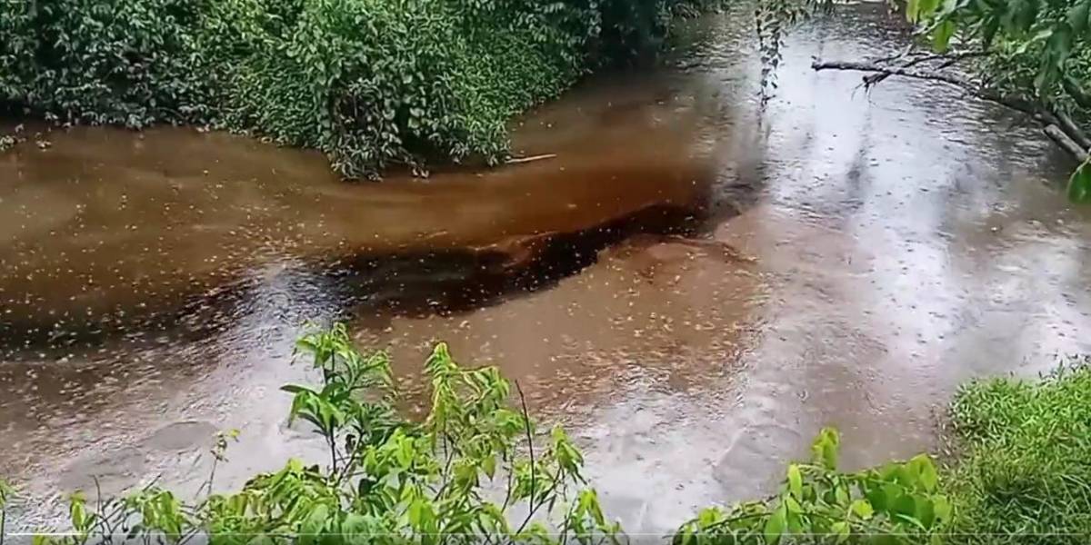 Petroecuador dice que derrame de crudo en la Amazonía está casi contenido