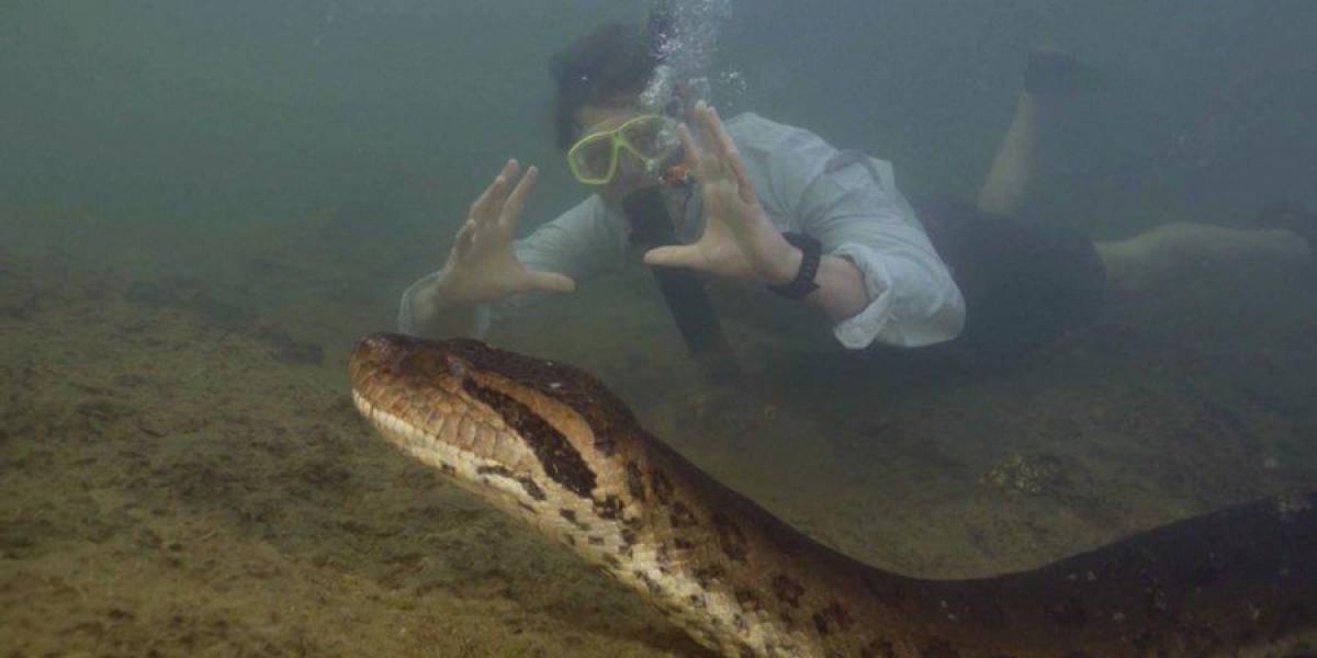 Científicos descubren que la serpiente más grande del mundo vive en la amazonía de Ecuador