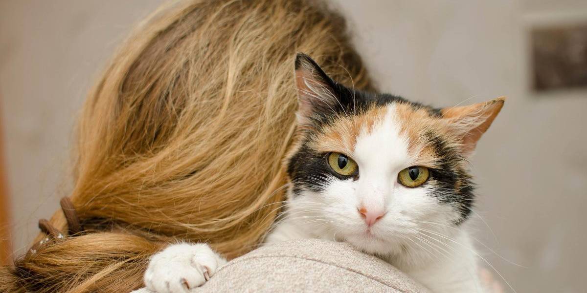 Los gatos prefieren a las mujeres según la ciencia, ¿cuál es la razón?