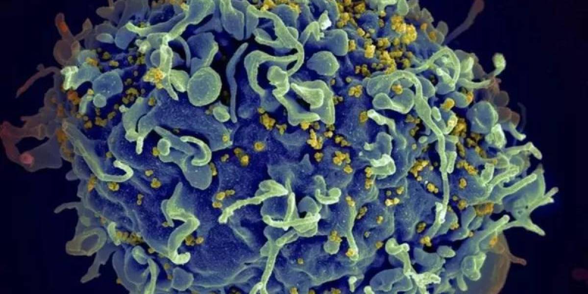 El estudio que detectó una mutación más virulenta del VIH (y por qué no debe alarmarnos)