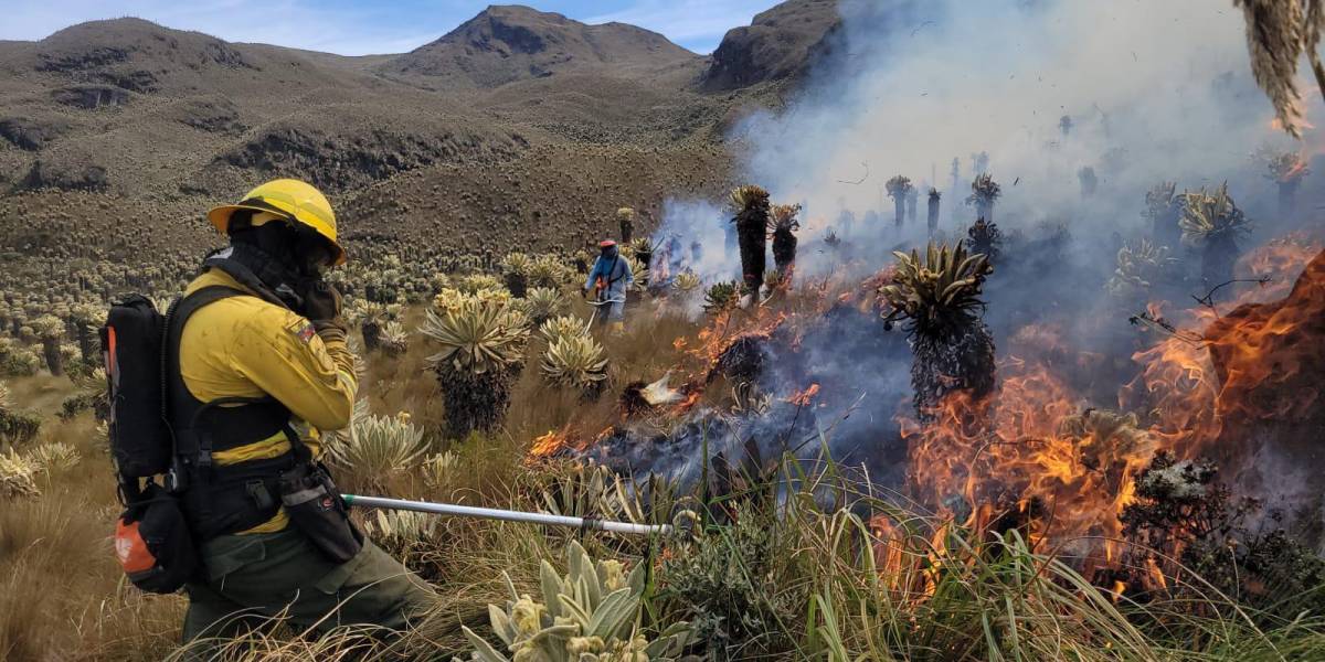 Carchi: las autoridades piden donaciones para los bomberos que combaten el incendio en la Reserva El Ángel