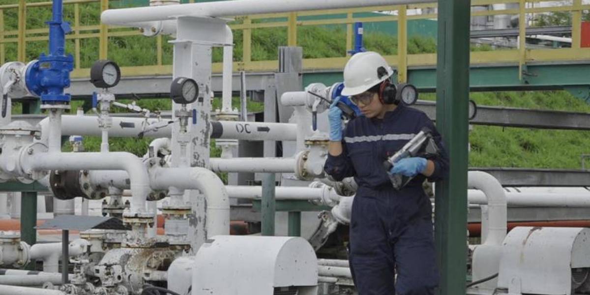 OCP Ecuador suspendió el bombeo de crudo ante erosión del río Loco en Napo