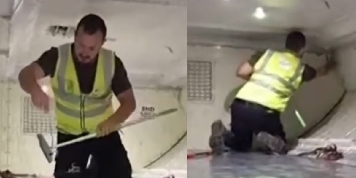 Un avión fue evacuado tras sorpresivo hallazgo de una serpiente en la bodega