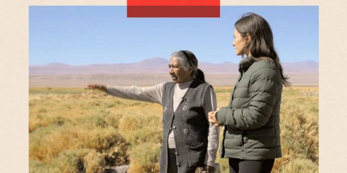 Entre beneficios económicos y daño ambiental: por qué la explotación del litio en Chile se ha convertido en un caso de estudio sobre un dilema global