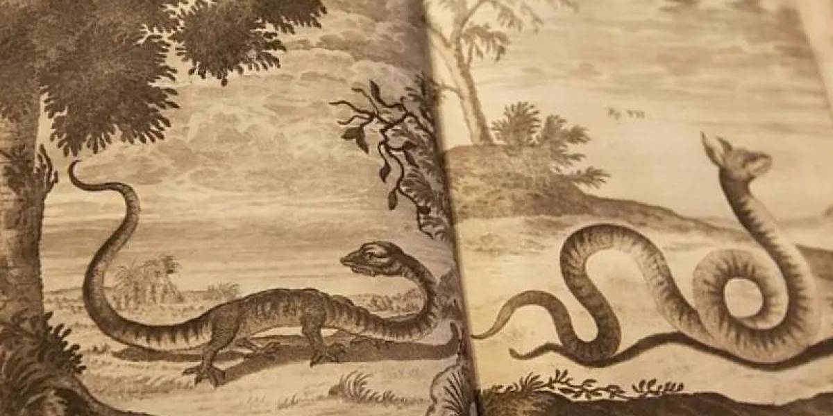 Cuernos de unicornio y dragones en los Alpes: las extravagantes investigaciones de la academia científica más antigua del mundo