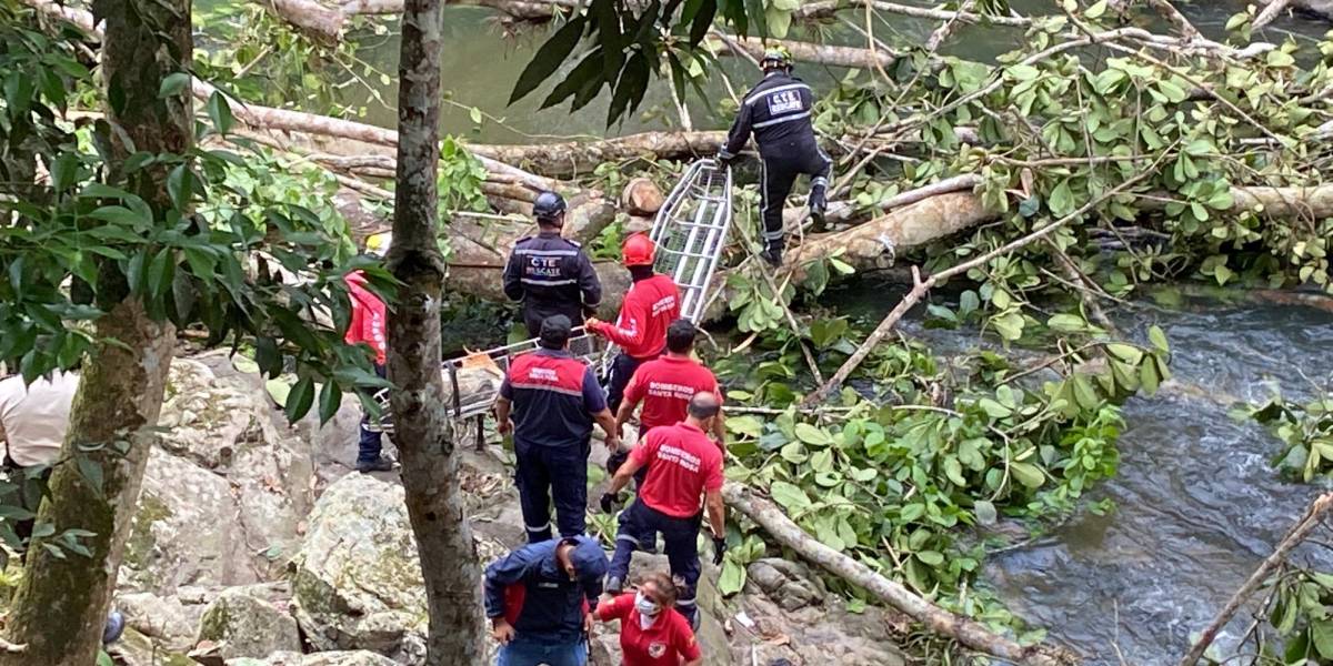 Dos mujeres y una menor de edad murieron tras caída de un árbol en Santa Rosa
