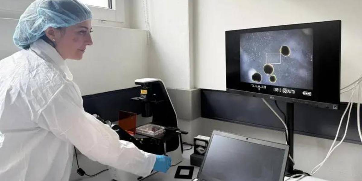 Los minicerebros humanos desarrollados por científicos para alimentar computadoras