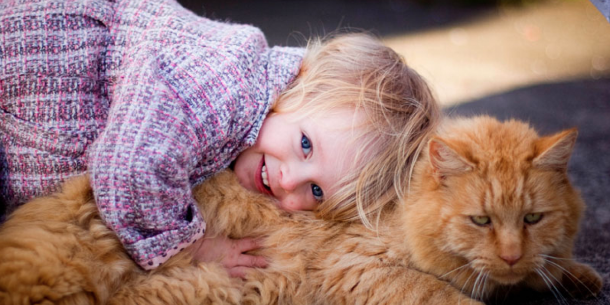 Científicos podrían estar cerca de crear gatos hipoalergénicos