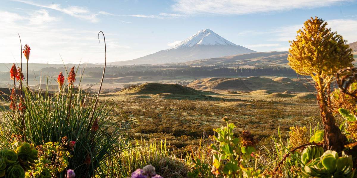 Clima: Cielo despejado y altas temperaturas en Quito y Guayaquil, según Inamhi
