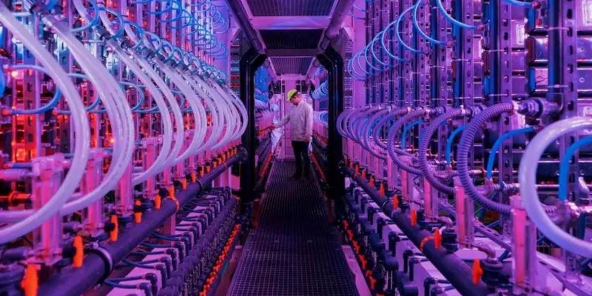 La granja futurista de Islandia que produce un antiguo superalimento