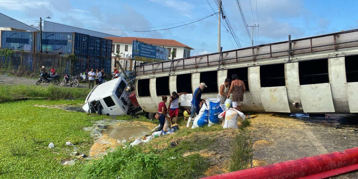 Un choque de tres camiones en la vía Durán-Yaguachi desata saqueo de balanceado