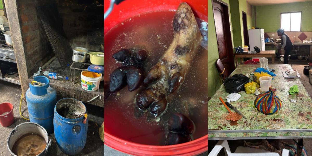 Arcsa halla alimentos podridos y pezuñas crudas en baldes en un restaurante de Riobamba