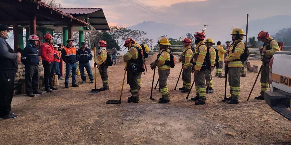 Un gran incendio forestal sigue activo y avanza con fuerza en Loja