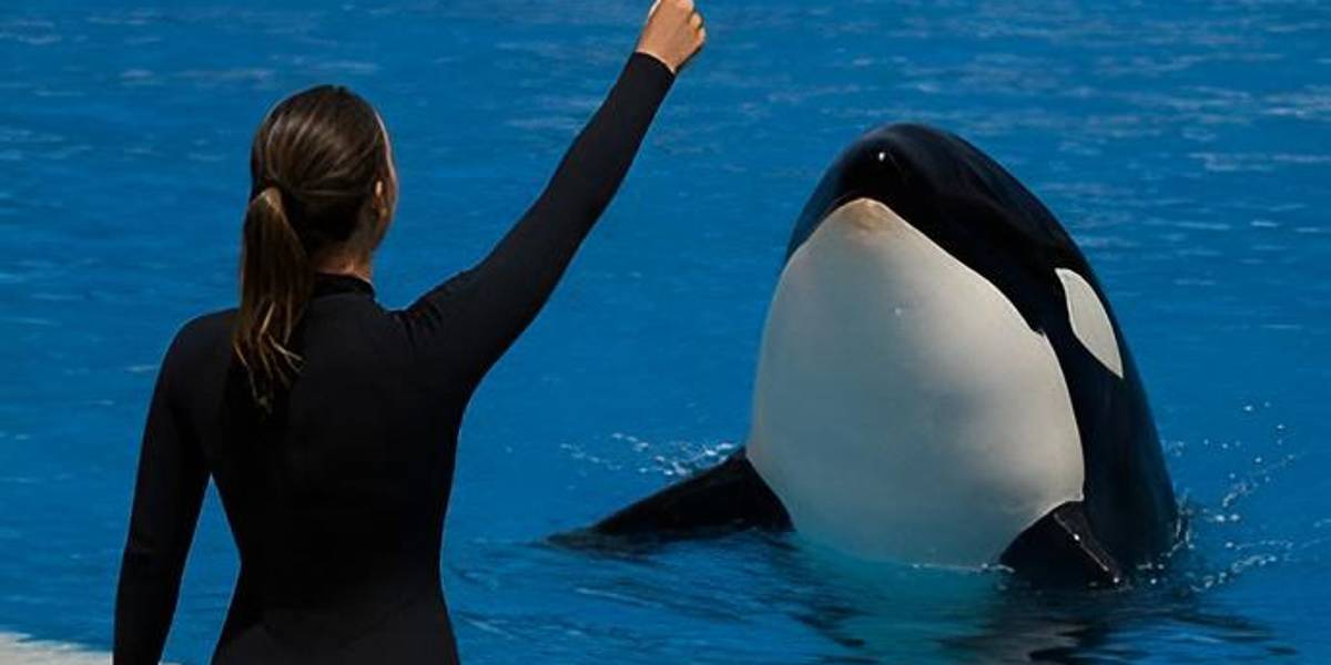 ¿La historia de la entrenadora Jessica Radcliffe y su fatídica muerte es real?