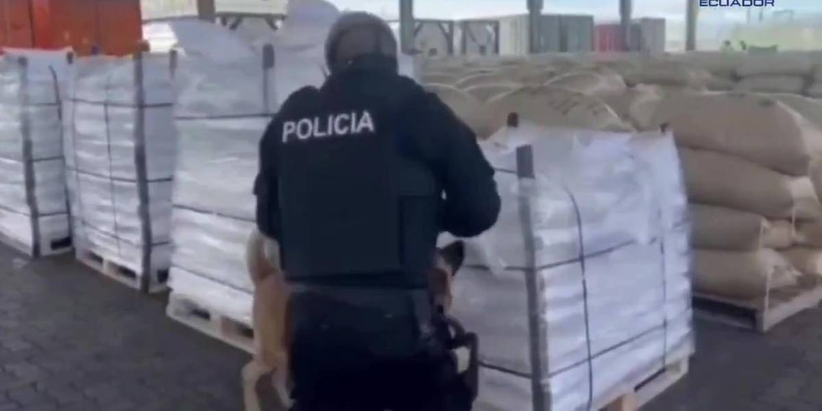 Tres toneladas de cocaína, con destino a Bélgica, fueron incautadas en Guayaquil