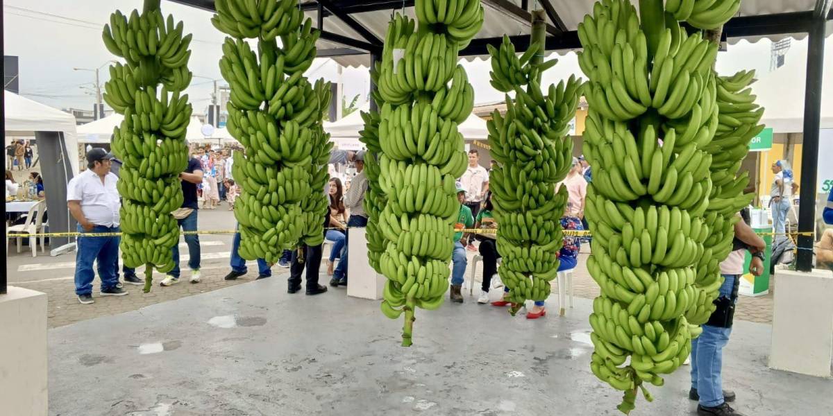 Comerciantes de mercados de Guayaquil explican por qué el verde está más caro