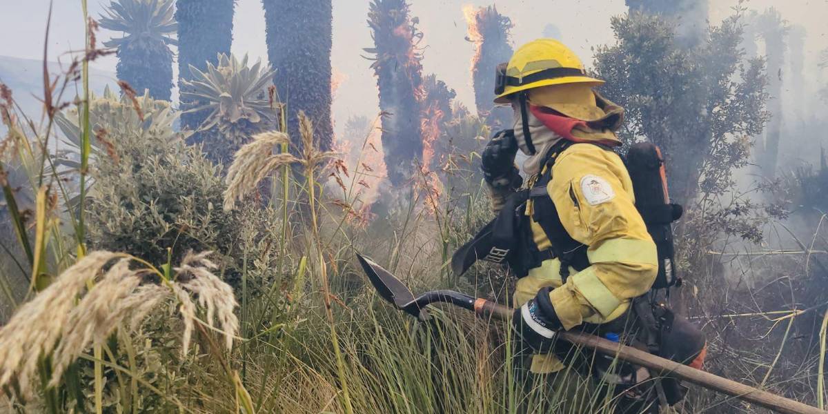 Carchi: con drones y más de 160 personas controlan el incendio en la Reserva de El Ángel