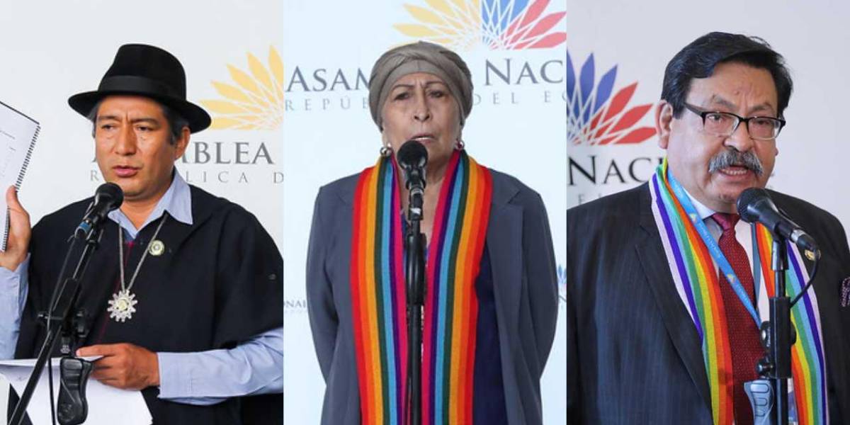 Los rebeldes de Pachakutik creen que Sofía Sánchez no debe liderar la Asamblea