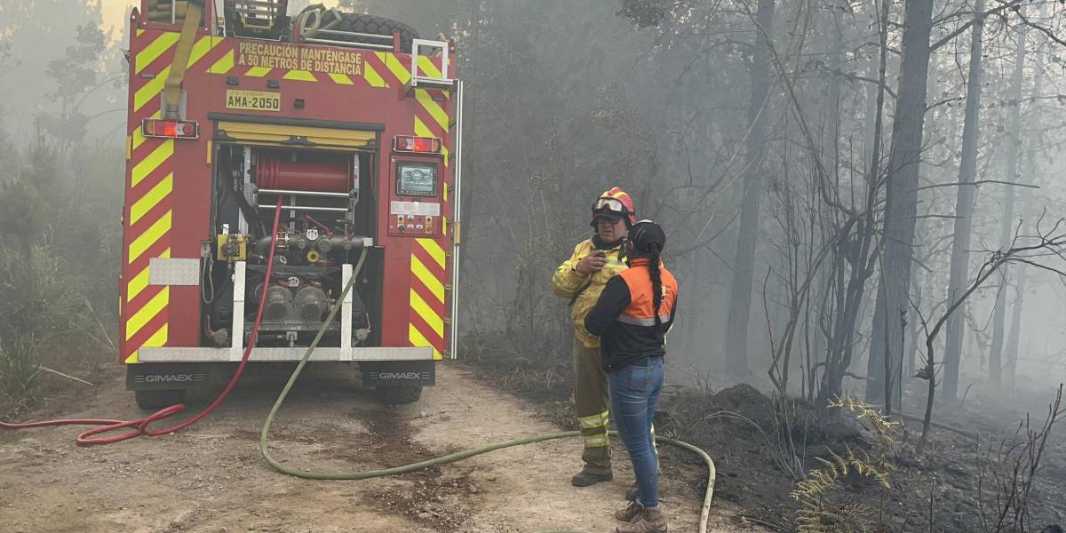 De 24 a 28 incendios en 12 horas: agosto ha sido el mes con mayor vegetación quemada en Ecuador