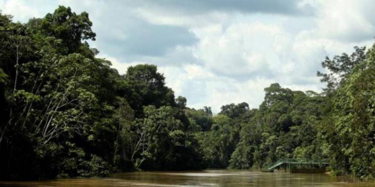 El Gobierno pide a la Corte Constitucional una revisión al dictamen sobre el cese de explotación petrolera en el Yasuní