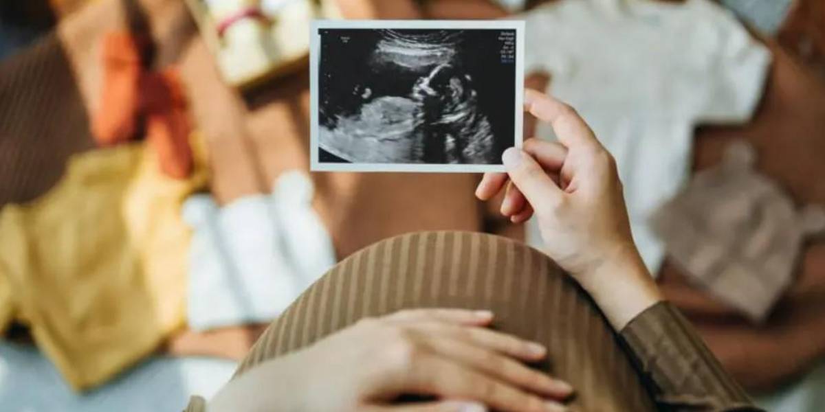 La sorprendente movilidad del útero y por qué es clave para el aparato reproductivo femenino