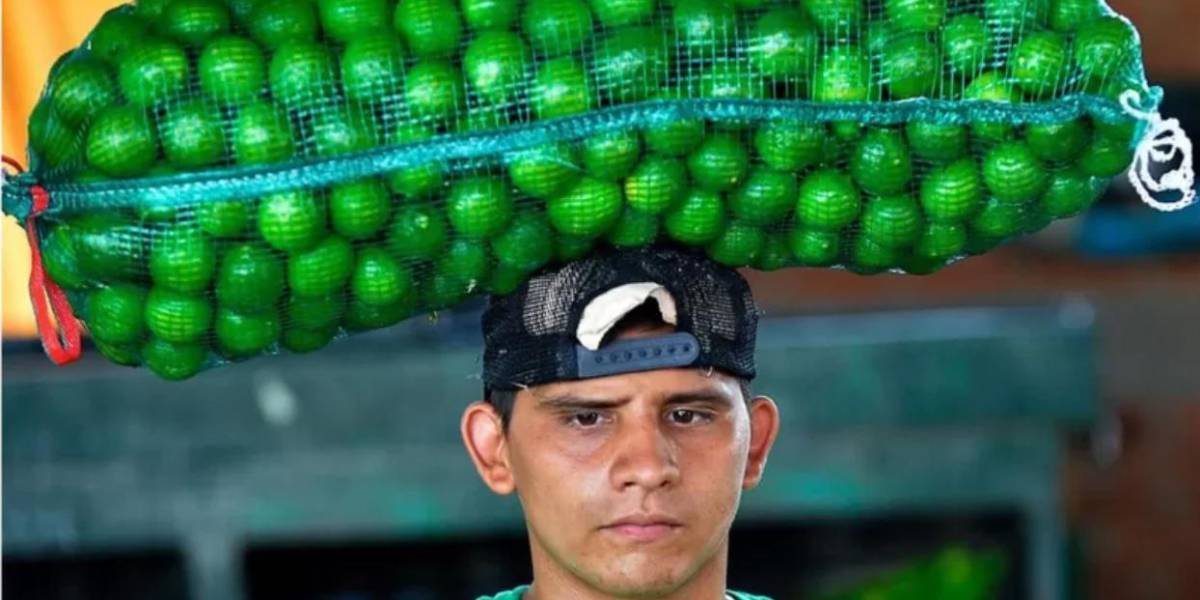 Limón en México: por qué el costo del cítrico alcanzó un récord histórico (y cuándo bajará de nuevo)