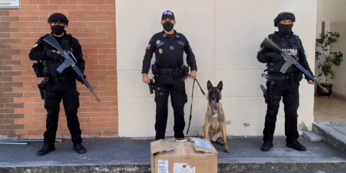 Un cargamento de cocaína estaba camuflado en artesanías que iban a España