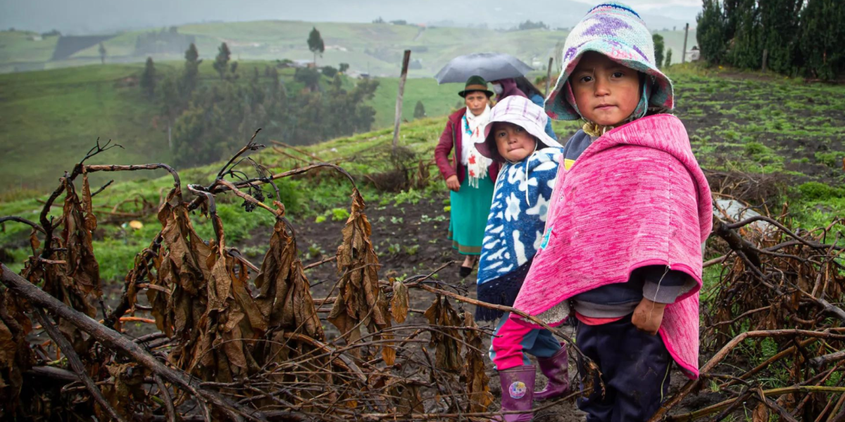 El Gobierno anuncia incentivos tributarios para combatir la desnutrición crónica infantil