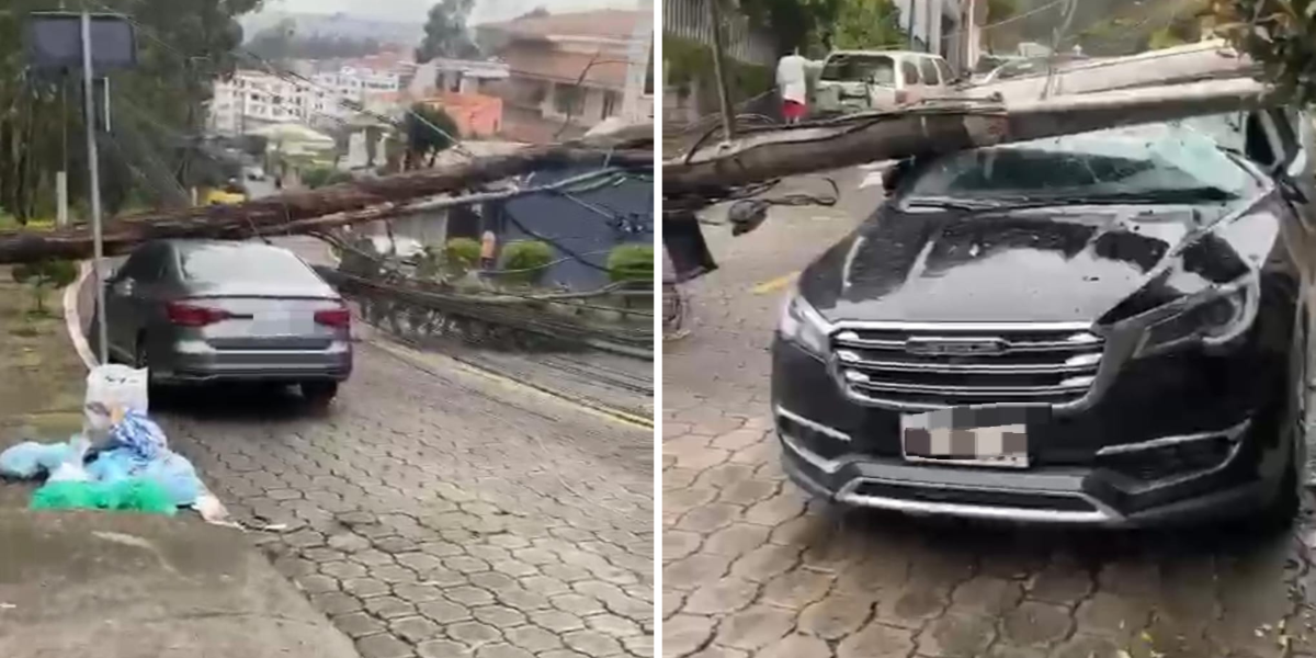 Una caída de árboles y postes sobre vehículos se reportó en el sector residencial de El Condado, al norte de Quito