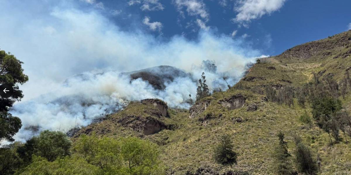 5 559 estudiantes fueron evacuados por el humo de un incendio forestal en Paute