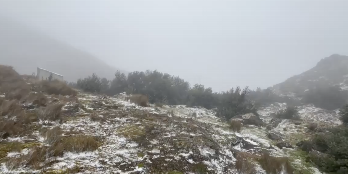 Una ligera nevada cubrió el Parque Nacional Cajas