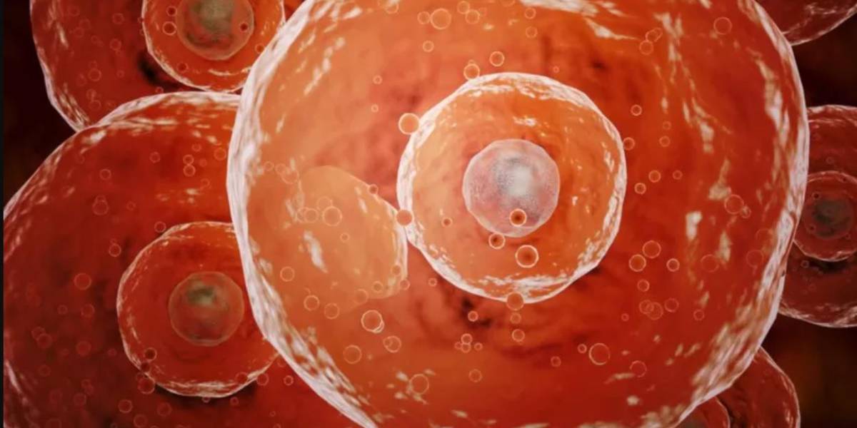 COVID-19: qué es la inmunidad híbrida y cómo te protege contra las infecciones como la del coronavirus