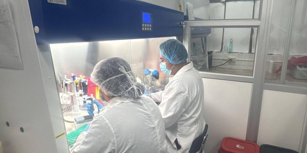 Los tres casos de fiebre amarilla se registran en Loja, Ambato y Morona