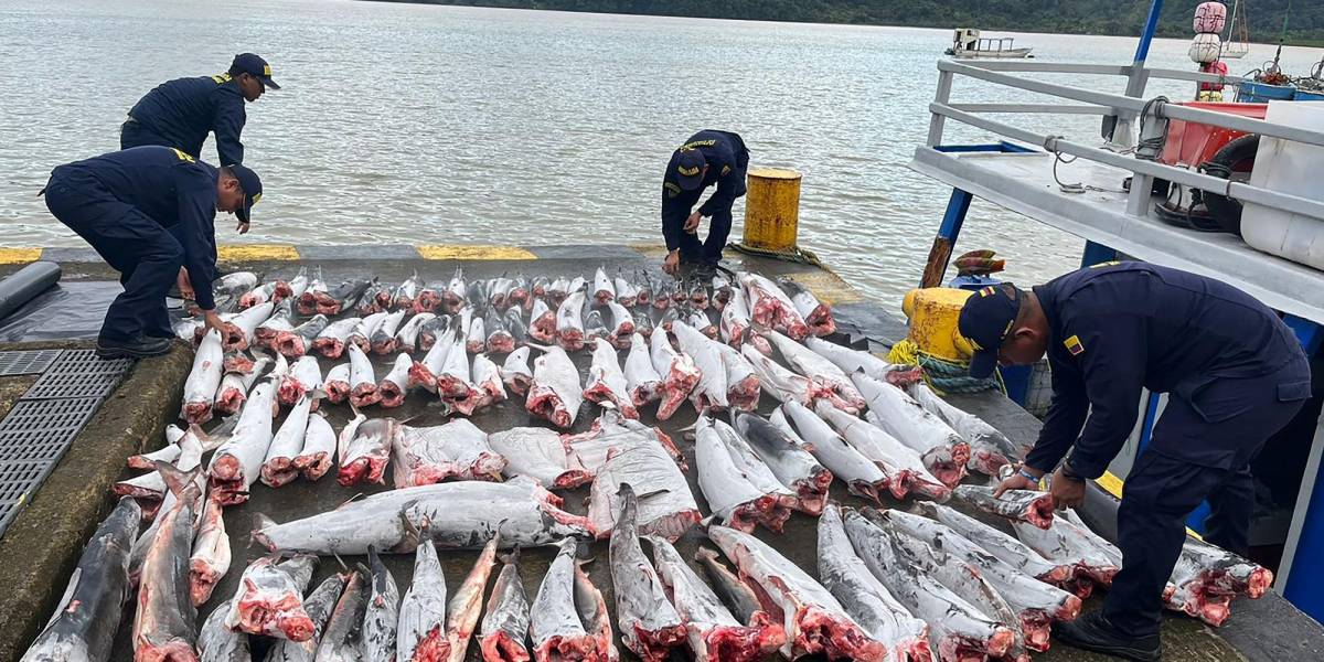 Más de 100 países evalúan en Manta la efectividad del mayor tratado contra pesca ilegal