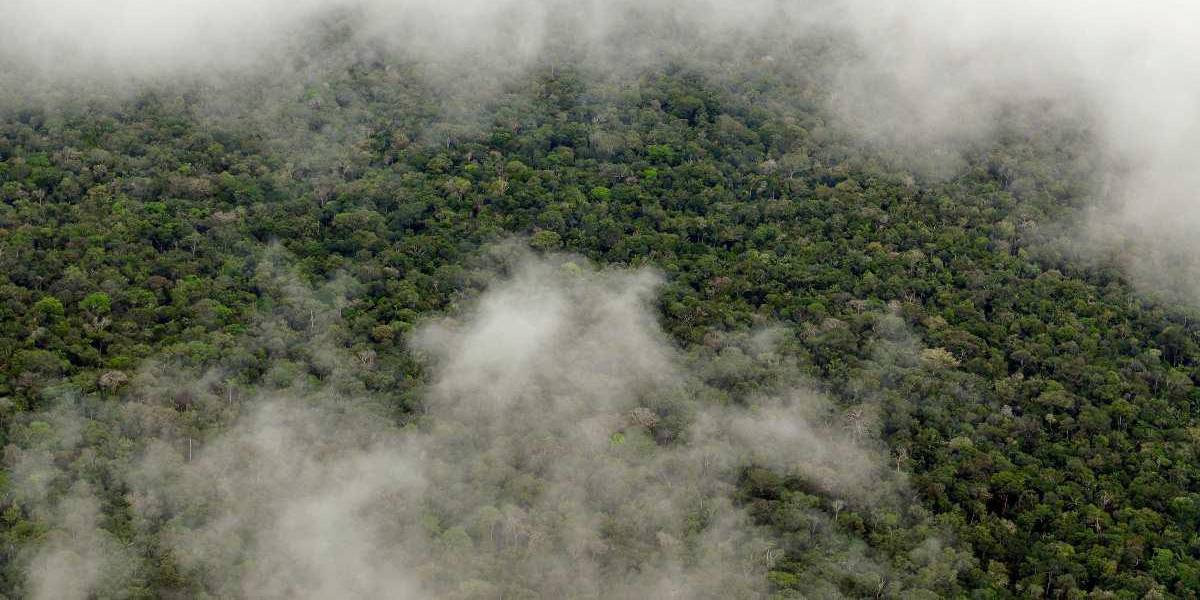 Bancos de neblina y lluvia se registrarán en la Sierra y Amazonía la noche del 20 de febrero