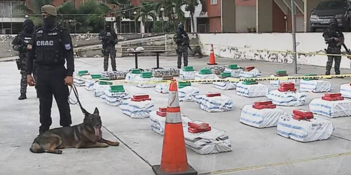 Las bodegas antinarcóticos están saturadas de droga