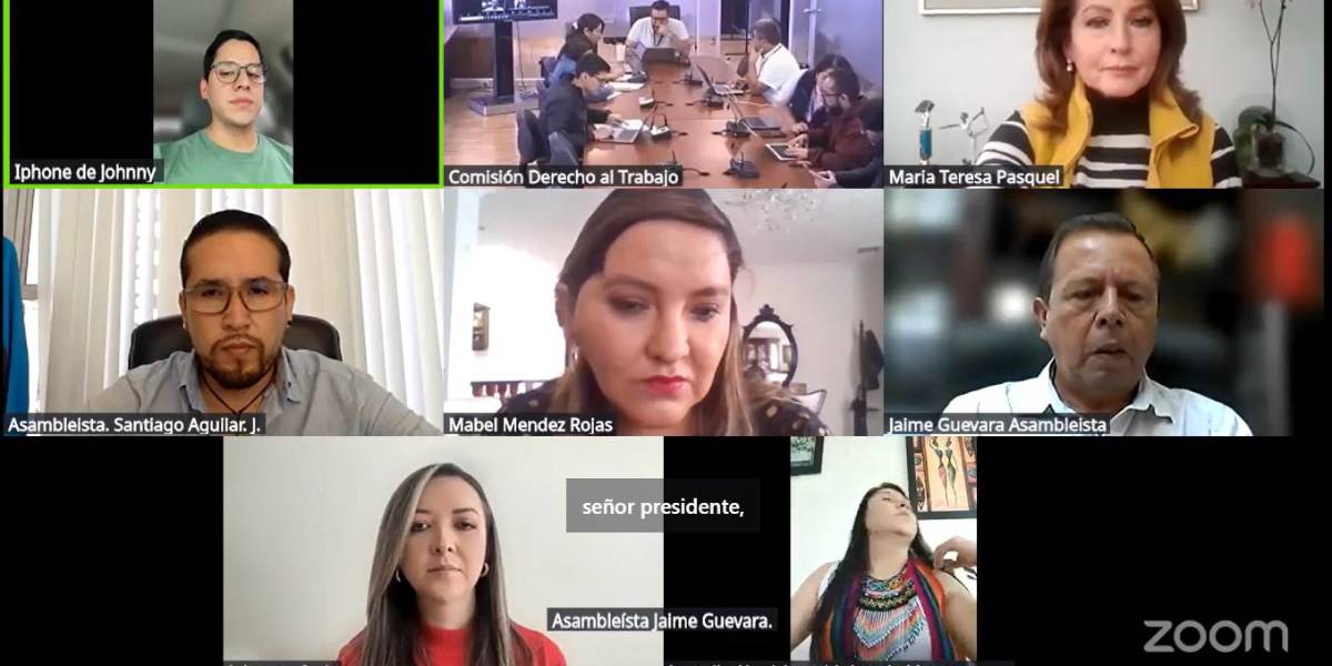 La Comisión del Derecho al Trabajo posesionó al suplente de Marcela Holguín y eligió a su reemplazo como vicepresidenta