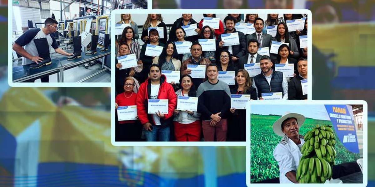 Noboa necesita apostar por la tecnología y modernizar el agro para generar empleo